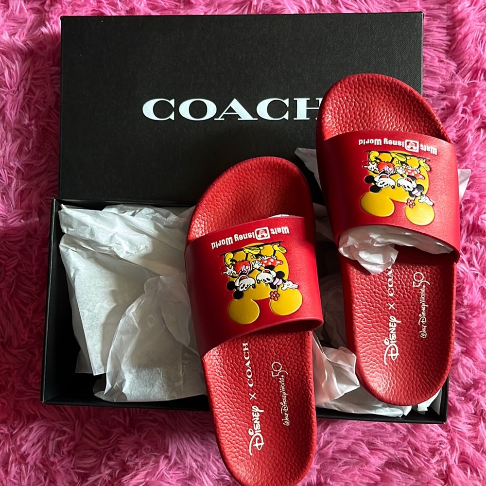 Coach Disney Mickey Minnie slide